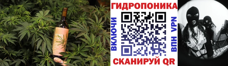 Купить  Ижевск  Canna-Cookies марихуана 