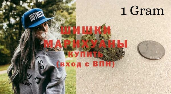 гашик Вяземский