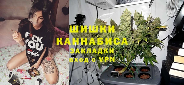 гашик Вяземский
