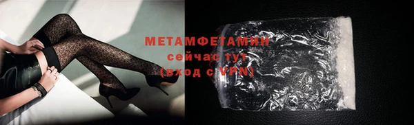 гашик Вяземский