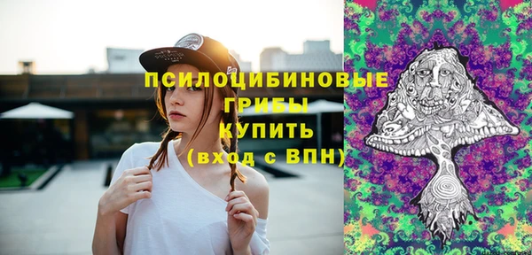 твердый Горнозаводск