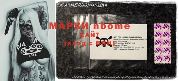 гашик Вяземский