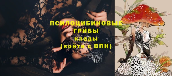 гашик Вяземский