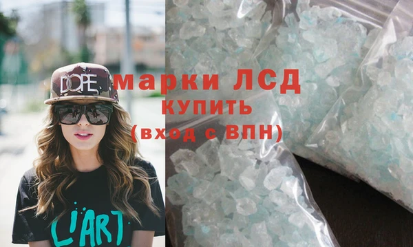 гашик Вяземский