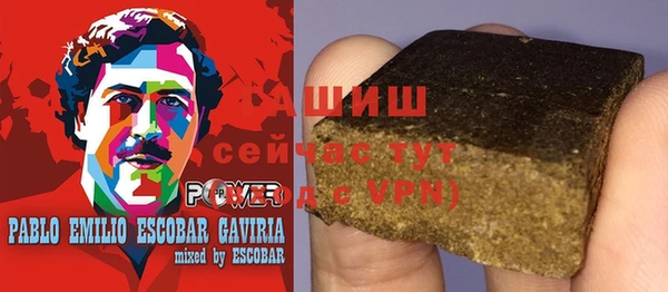 гашик Вяземский